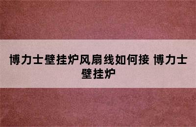 博力士壁挂炉风扇线如何接 博力士壁挂炉